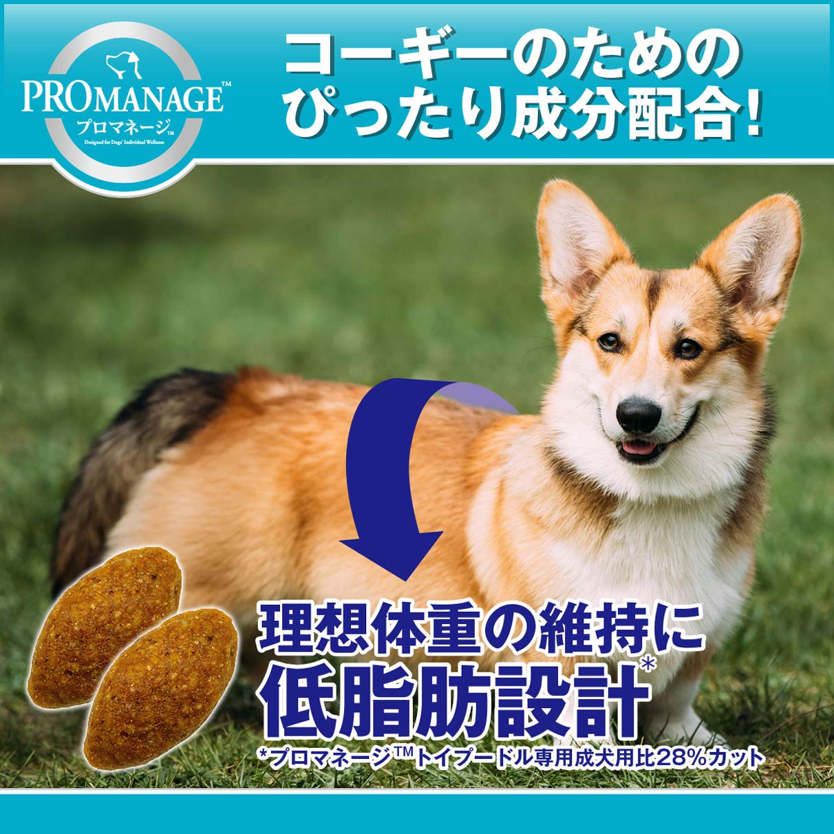 PROMANAGE コーギーペンブローク専用 4kg✖️３個 Amazon.co.jp: プロマネージ ドッグフード 犬種別 成犬用